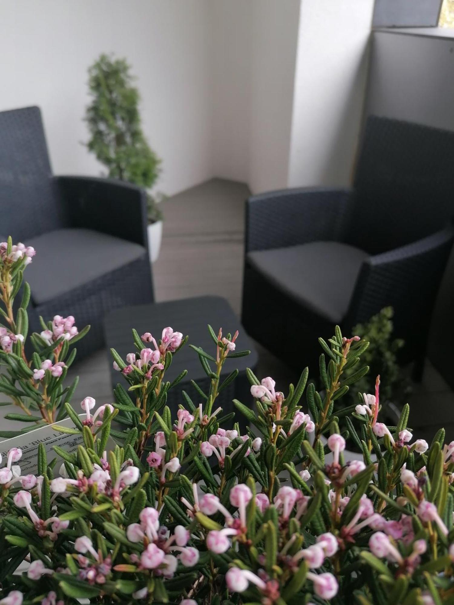 Szczecin Hanza Tower Apartment-Basen 외부 사진